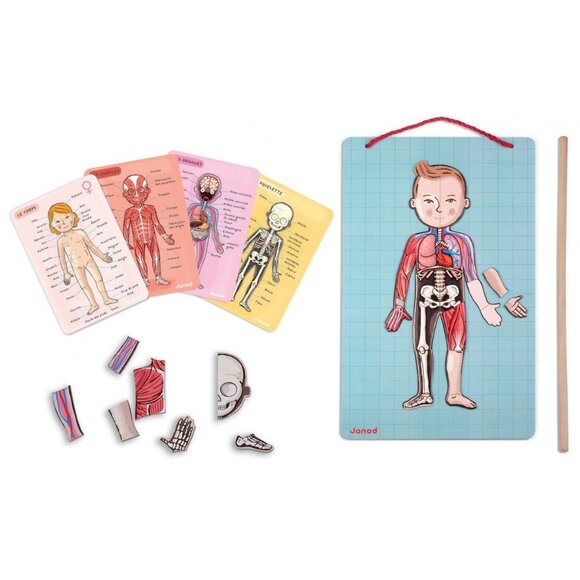 Janod-Body Magnet Human Body Game Magnetic Anatomy Puzzle For Age 7+ New in Box - Picture 5 of 16